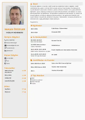 Yazılım Mühendisi Cv Örnekleri cv indir